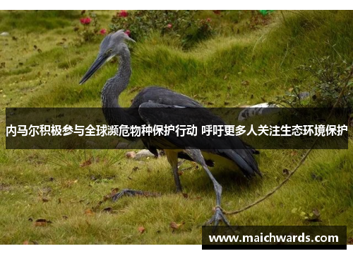 内马尔积极参与全球濒危物种保护行动 呼吁更多人关注生态环境保护