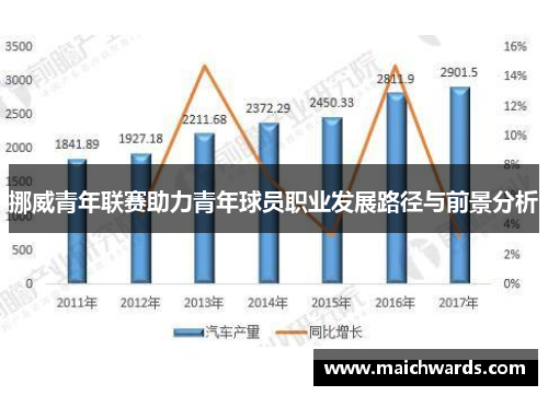 挪威青年联赛助力青年球员职业发展路径与前景分析