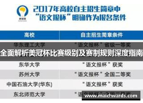 全面解析美冠杯比赛级别及赛制规则深度指南